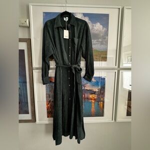 Aris Dark Green Striped Long Sleeve Dress